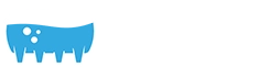 logo on the banner