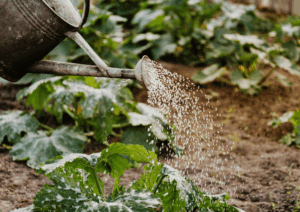 Zbiorniki betonowe na deszczówkę – trwałe rozwiązanie dla Twojego domu i ogrodu