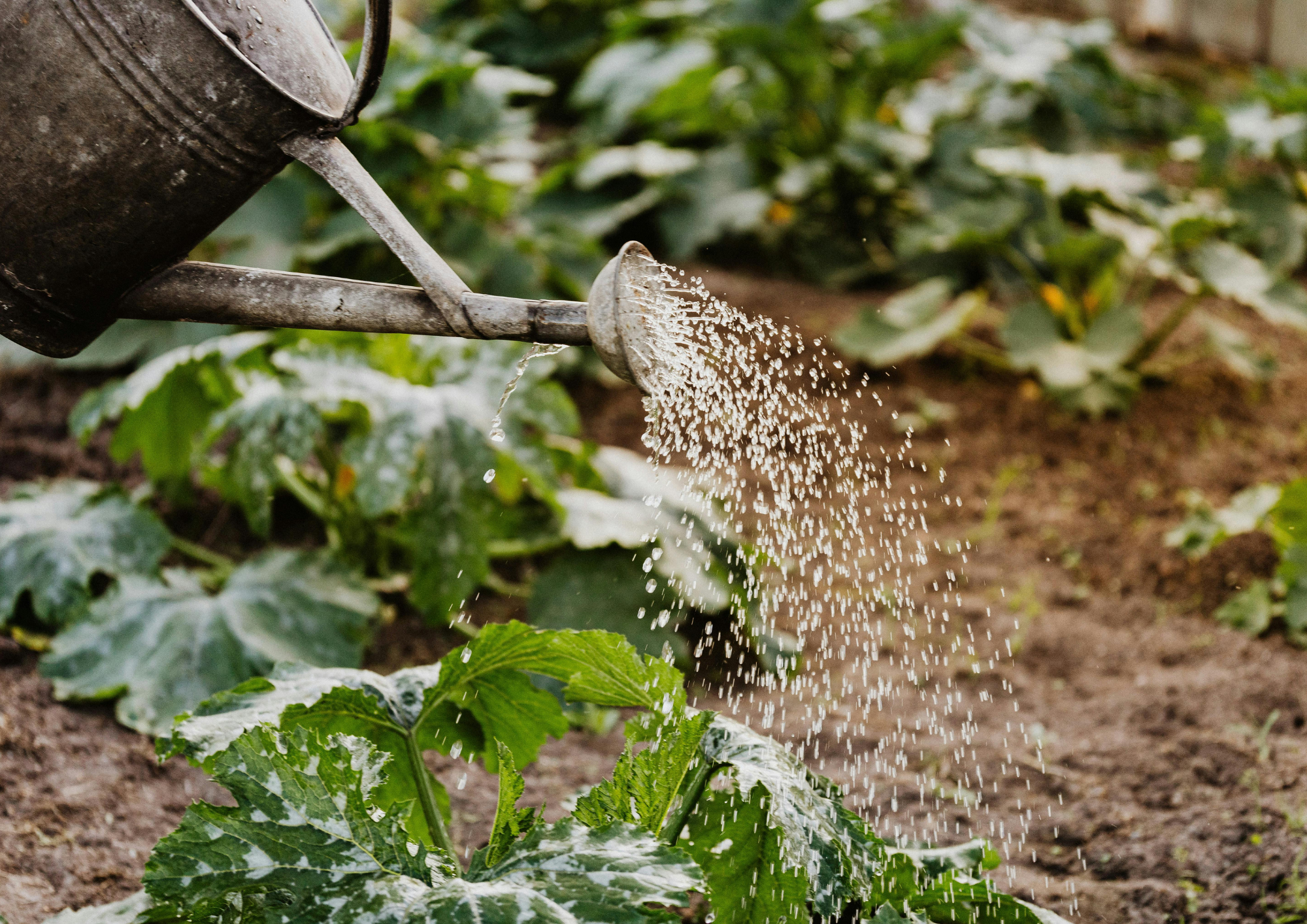 Zbiorniki betonowe na deszczówkę – trwałe rozwiązanie dla Twojego domu i ogrodu