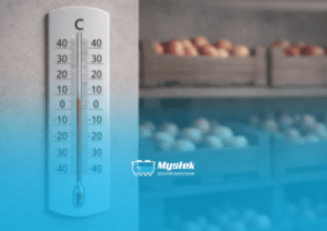 Jak utrzymać odpowiednią temperaturę w piwniczce ogrodowej?