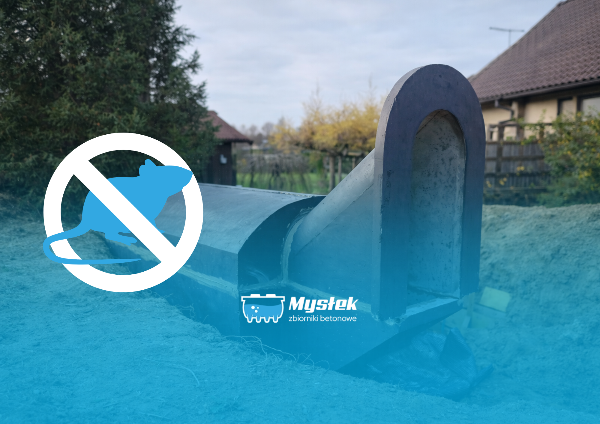 Jak zabezpieczyć piwniczkę ogrodową przed gryzoniami?